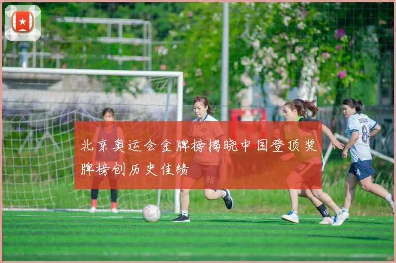 北京奥运会金牌榜揭晓中国登顶奖牌榜创历史佳绩