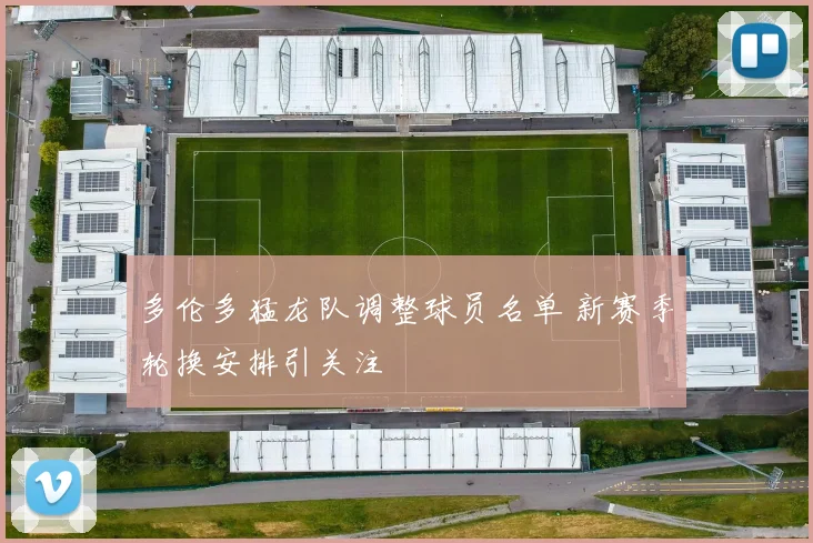 多伦多猛龙队调整球员名单 新赛季轮换安排引关注