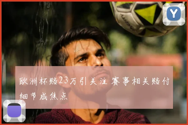 欧洲杯赔23万引关注 赛事相关赔付细节成焦点
