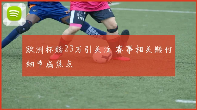欧洲杯赔23万引关注 赛事相关赔付细节成焦点
