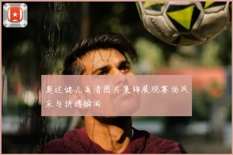 奥运健儿高清图片集锦展现赛场风采与拼搏瞬间